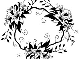 Birds, Animals and Nature